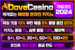 도브카지노